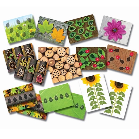 Yellow Door Ladybugs Early Number Card, 16 Per Set YUS1063